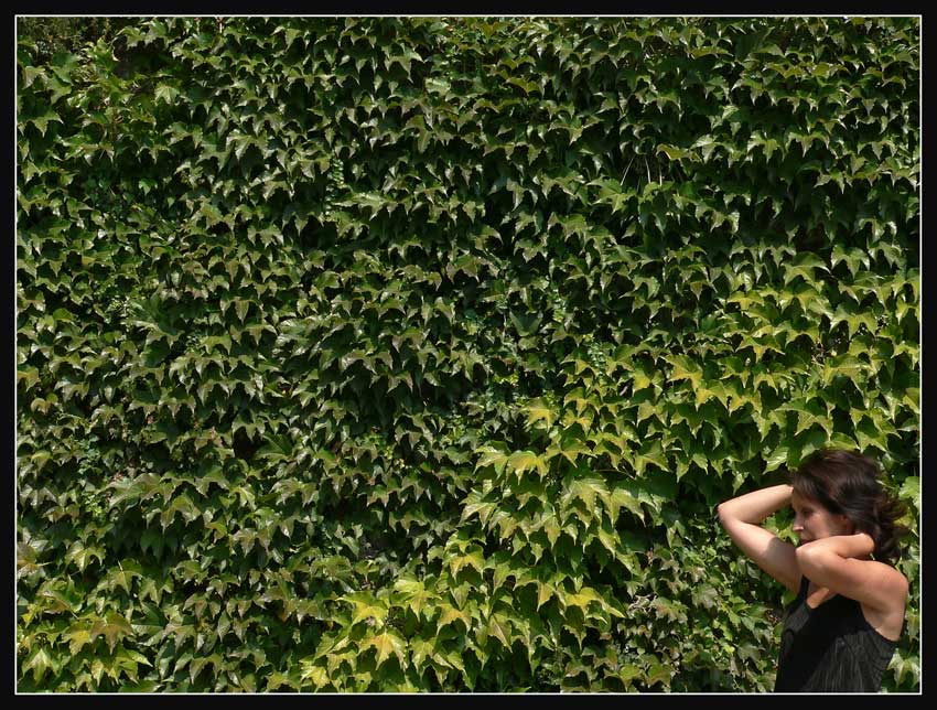  Green Peace