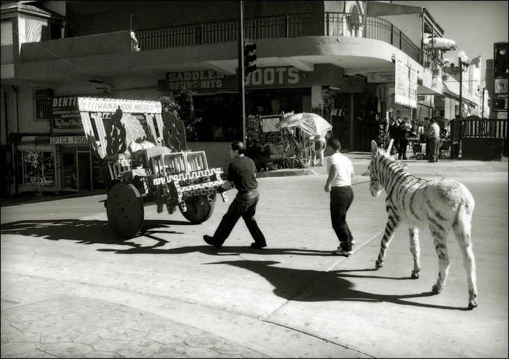  Tijuana City 4