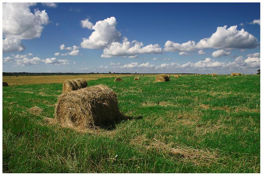  Just a field