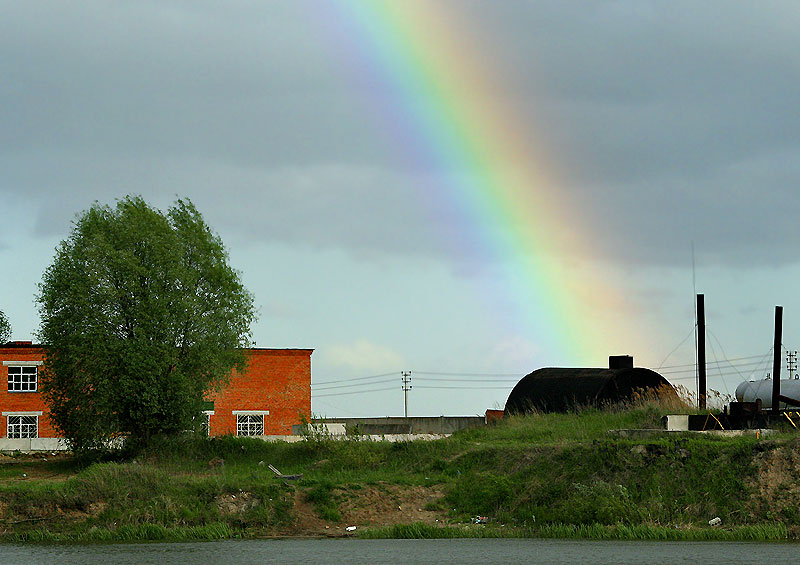  rainbow & tank