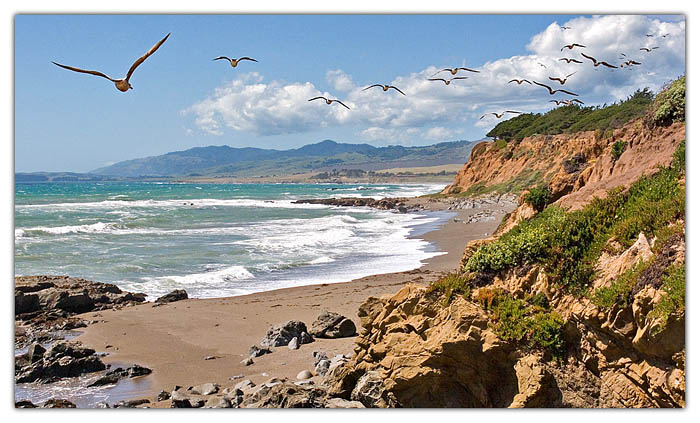  San Simeon Seashore