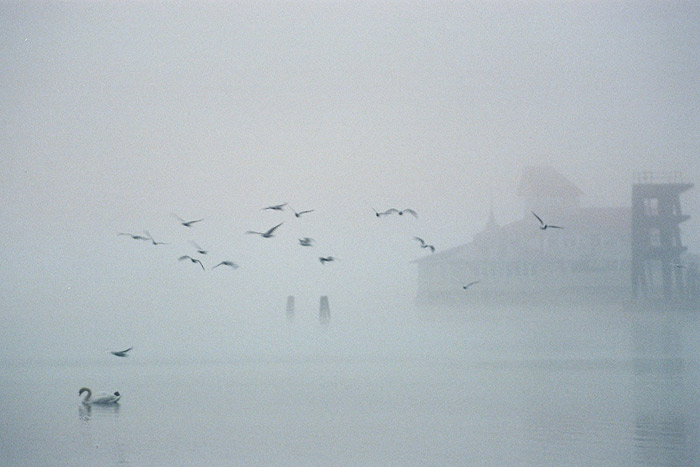  Silence of Finland