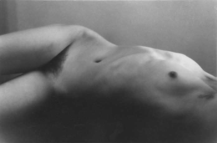  a tribute to Edward Weston #10 . 2006