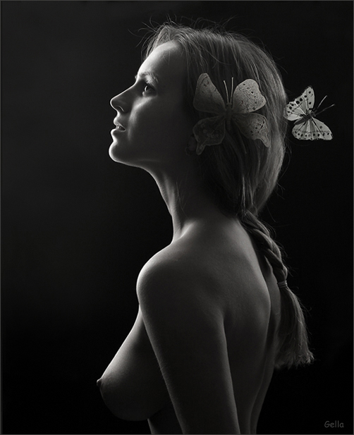  Butterfly feeling