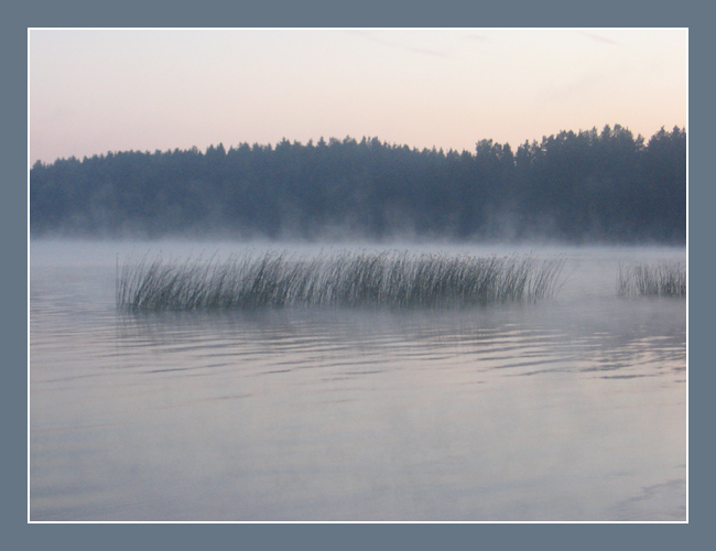  24.06.2006 Paunkula