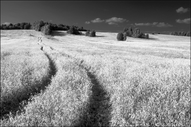   IR    