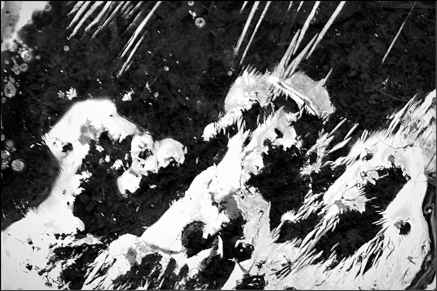  Inferno.