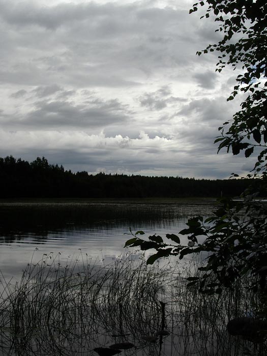  , 2006