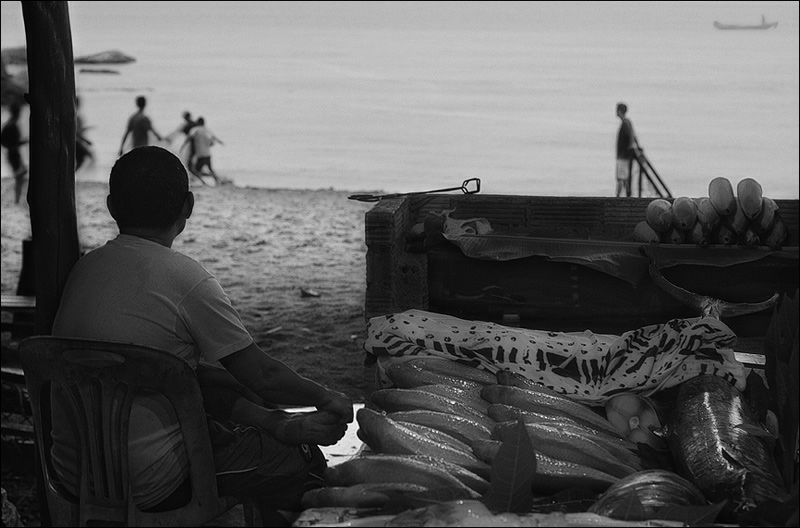  sea food