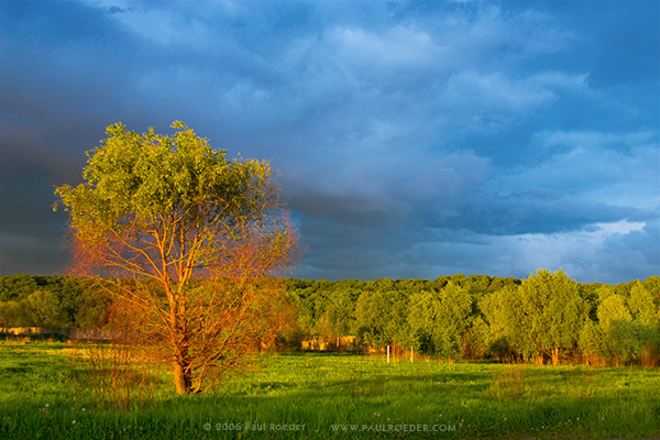  10    / 10 Minutes before Storm