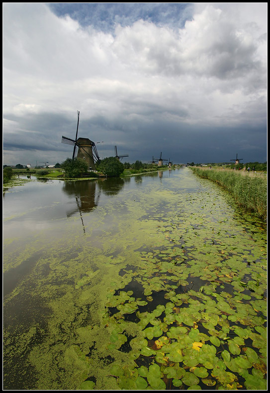  Kinderdijk (3)