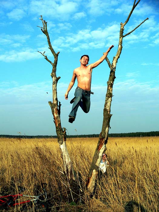  freedom