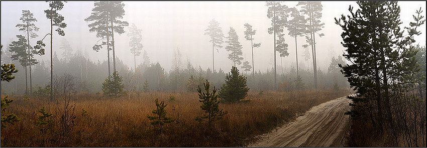  Mist 