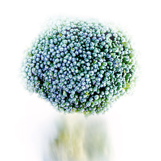  broccoli