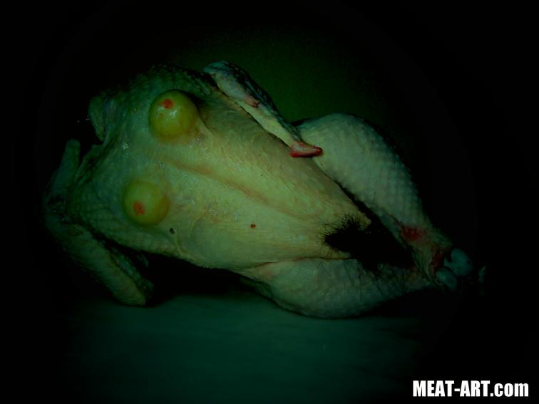  Meat-art(the bomb)