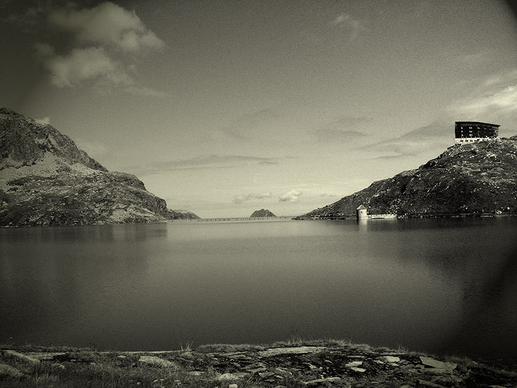  white lake