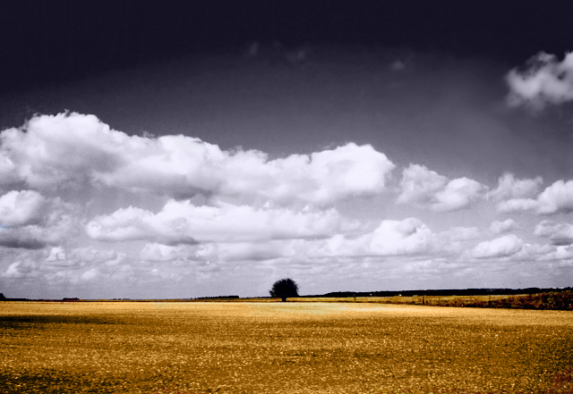  In the middle of nowhere