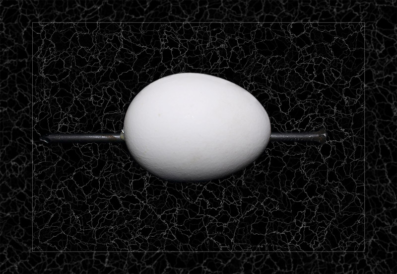  ***