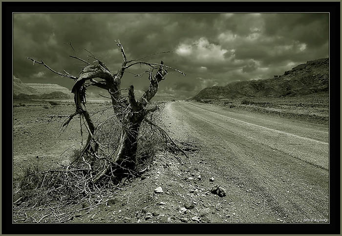  Desert Road #2