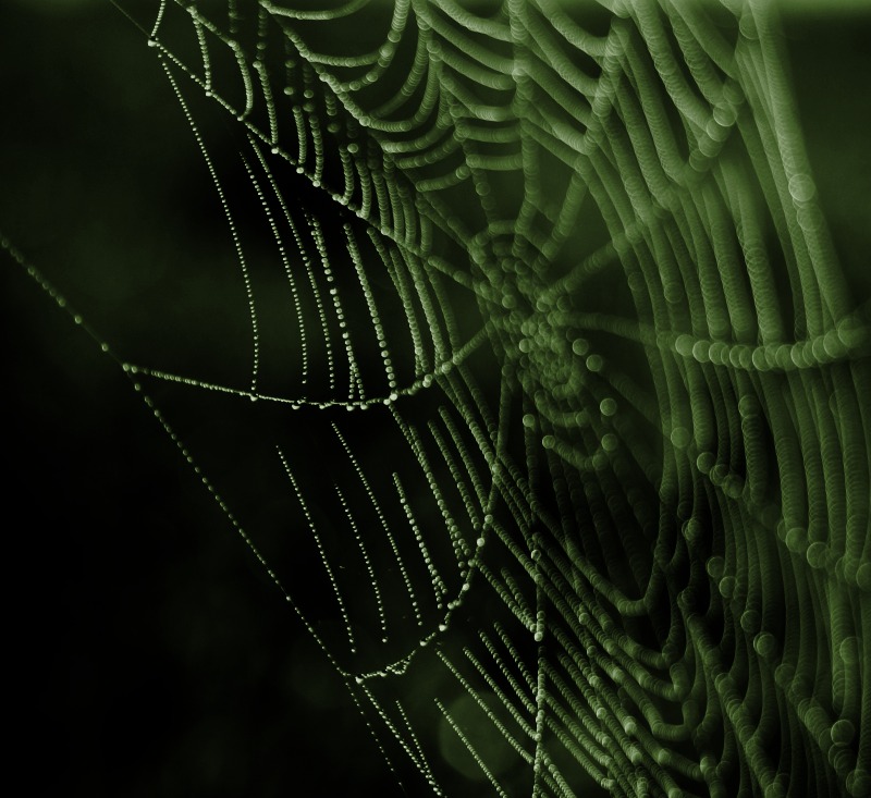  Bokeh  