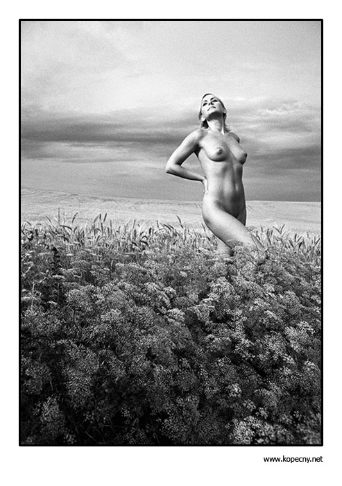  The Summer