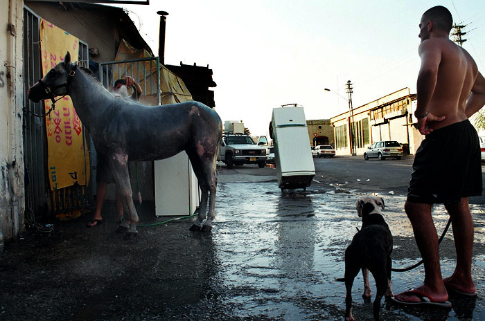  Fleamarket II