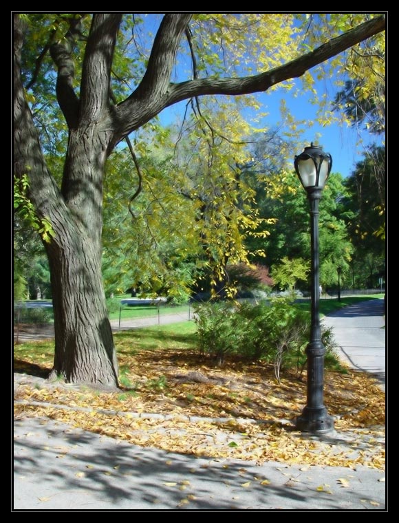  Central Park