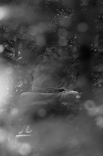  Invisible Buddah