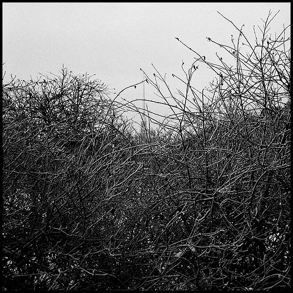  the secret garden