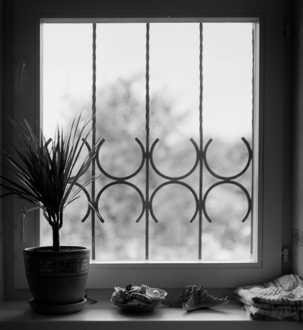  Still life