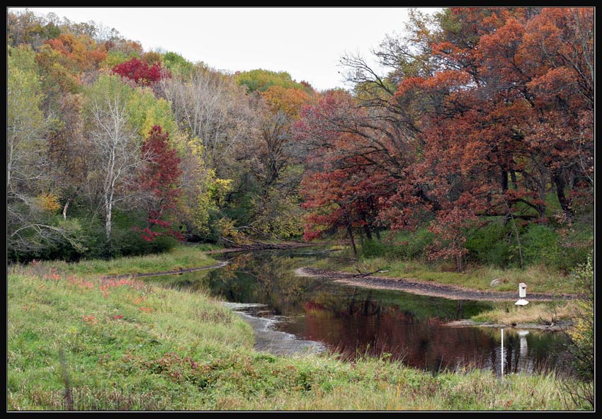  MSP fall #2