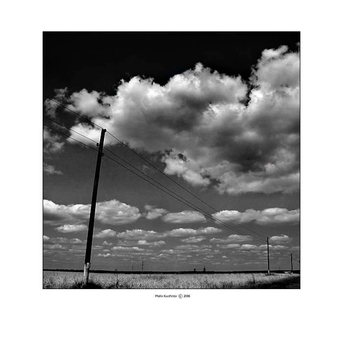  lines