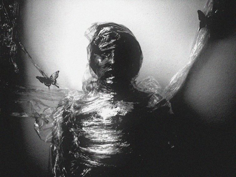  The moth