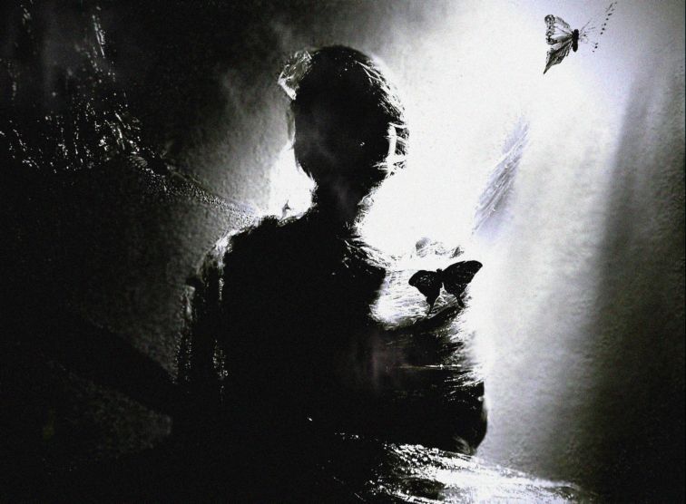  The Moth #2