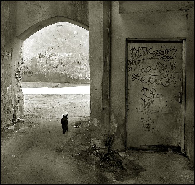      —  