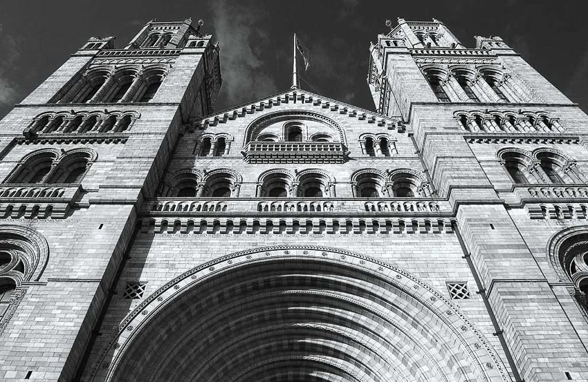  Natural History Museum #1