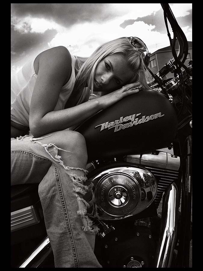  Harley l