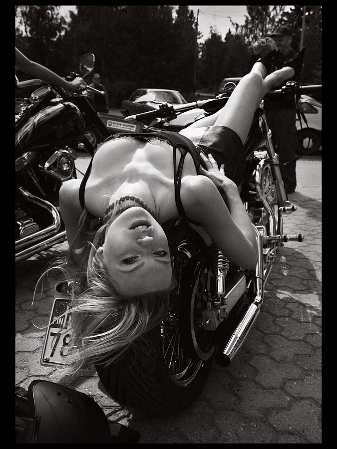  HarleY lll