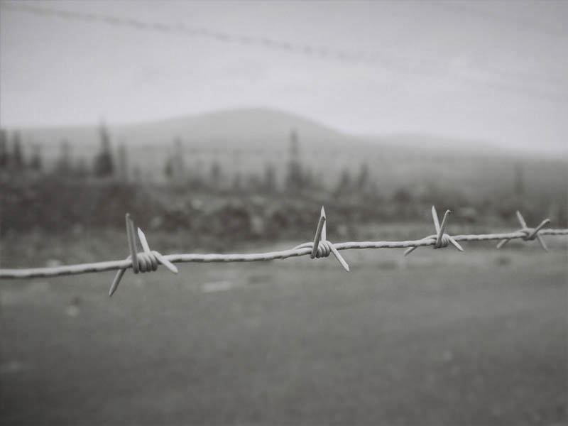  the wrong side of the hedge