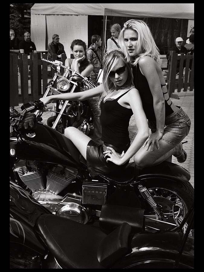  HarleY lV