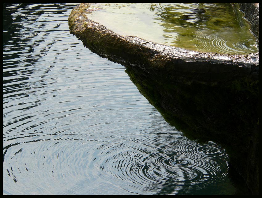  Wave`s life moment