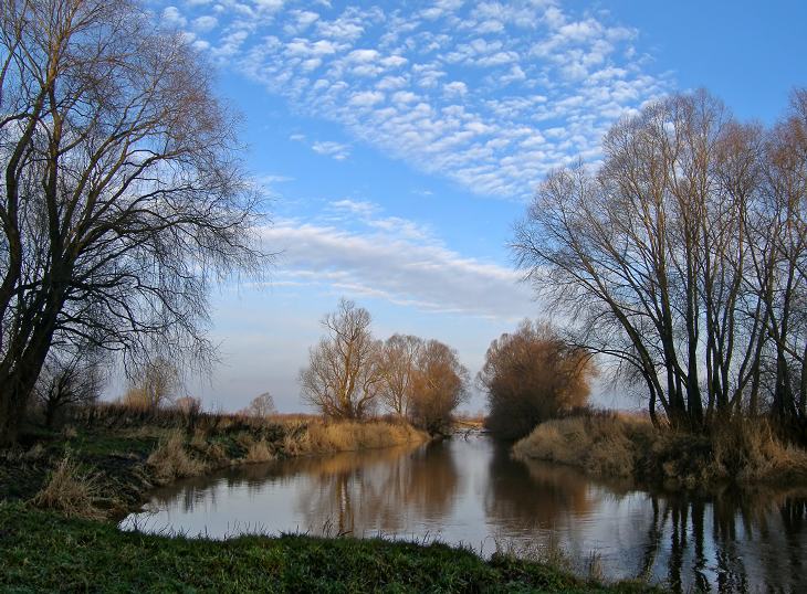    2006. 