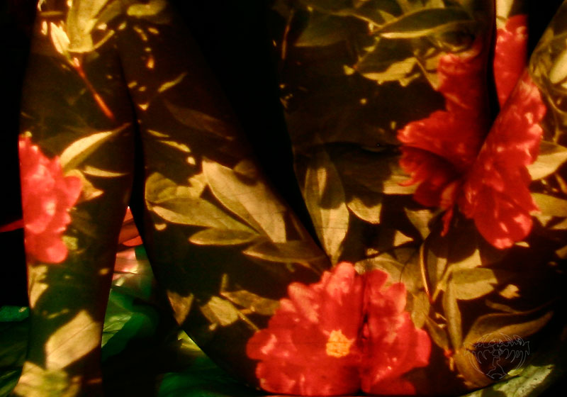  enjoy flowers