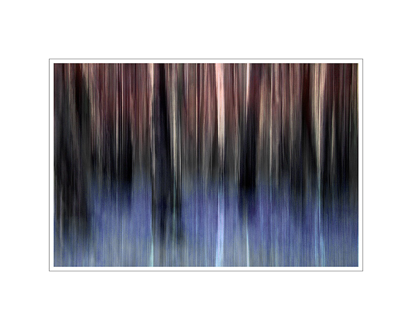  Impressions II