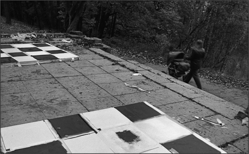 autumn chess