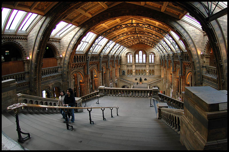  Natural History Museum  