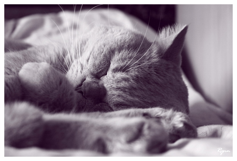  Sleeping