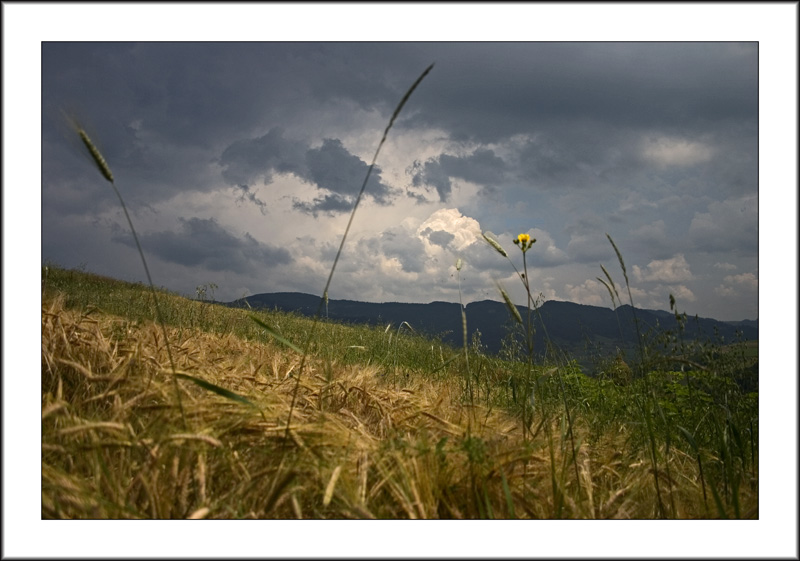  BESKID