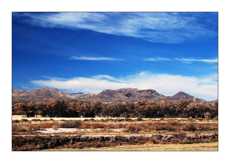  Bosque Del Apache