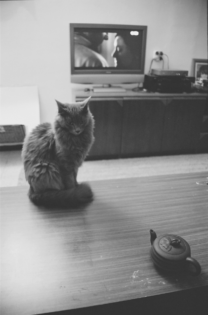  kino